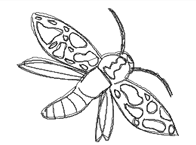 Moth Coloring Printable Image