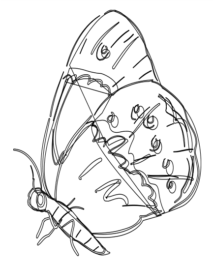 Moth For Children Free Coloring Page