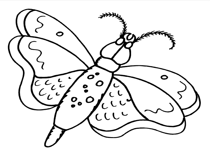 Moth Free Printable Picture Coloring Page
