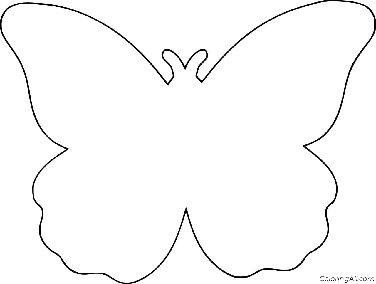 Moth Outline To Printable Coloring Page
