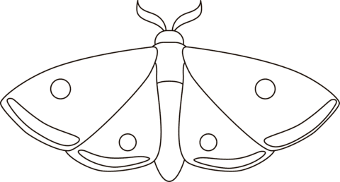 Moth Printable Free Coloring Page