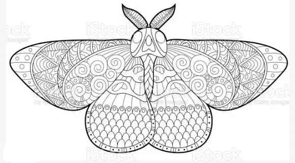 Moth Sweet For Kids Coloring Page