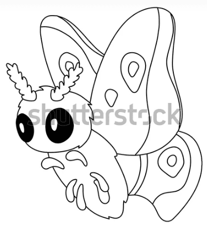 Moth To Print For Kids Coloring Page
