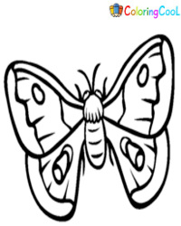 Розмальовки метелик