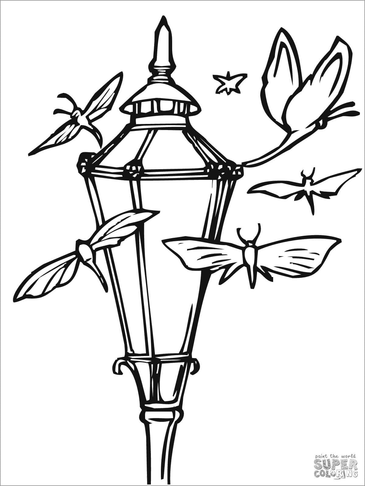 Moths And Lantern Coloring Page Coloring Page