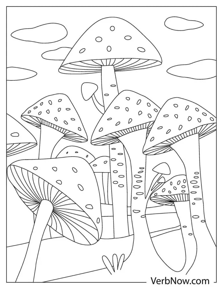 Mushroom Picture For Kids