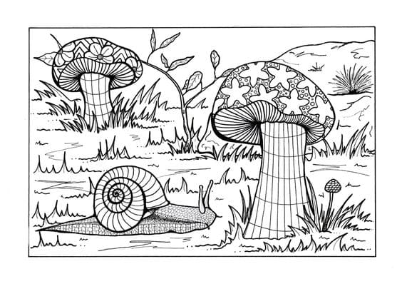 Mushroom Pretty Coloring Page