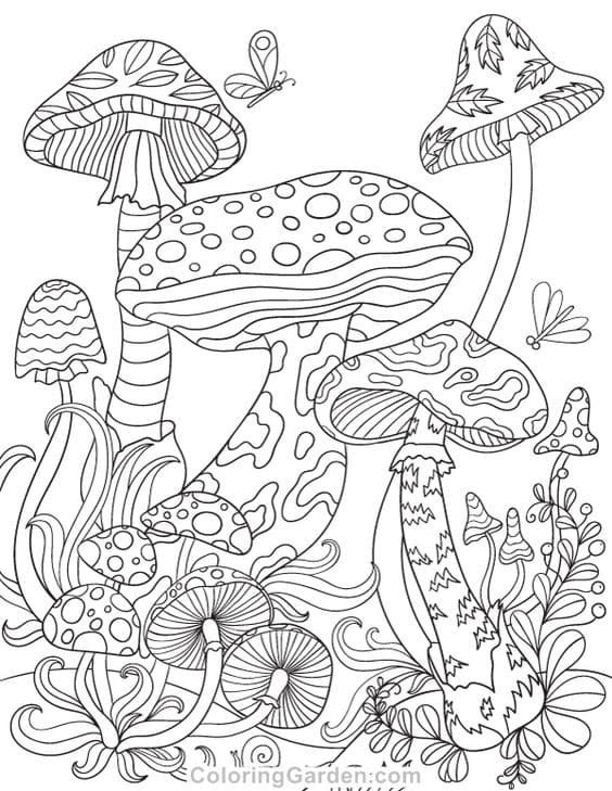 Mushrooms Sweet Free Coloring Page