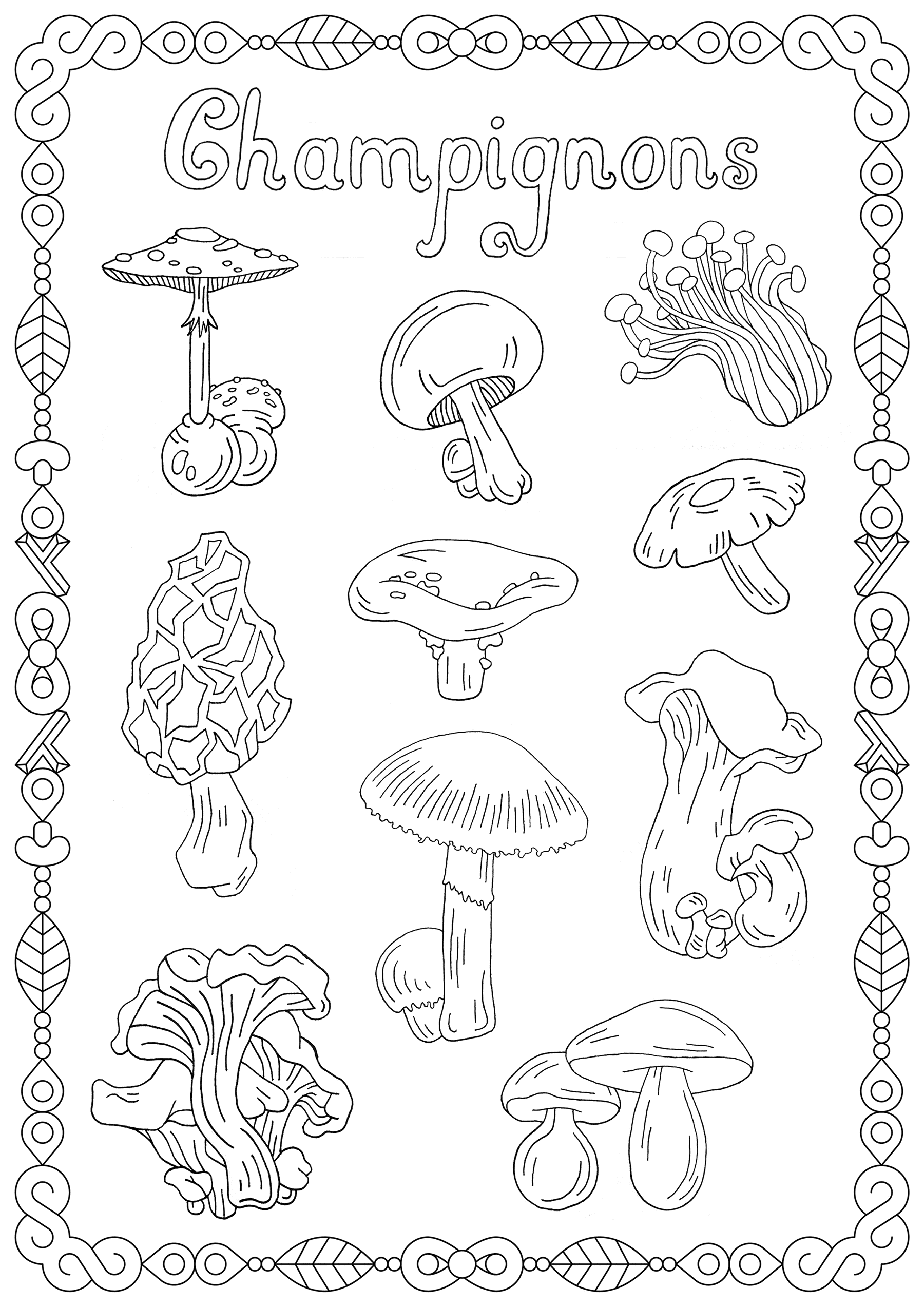 Mushrooms Coloring Page With Few Details For Kids