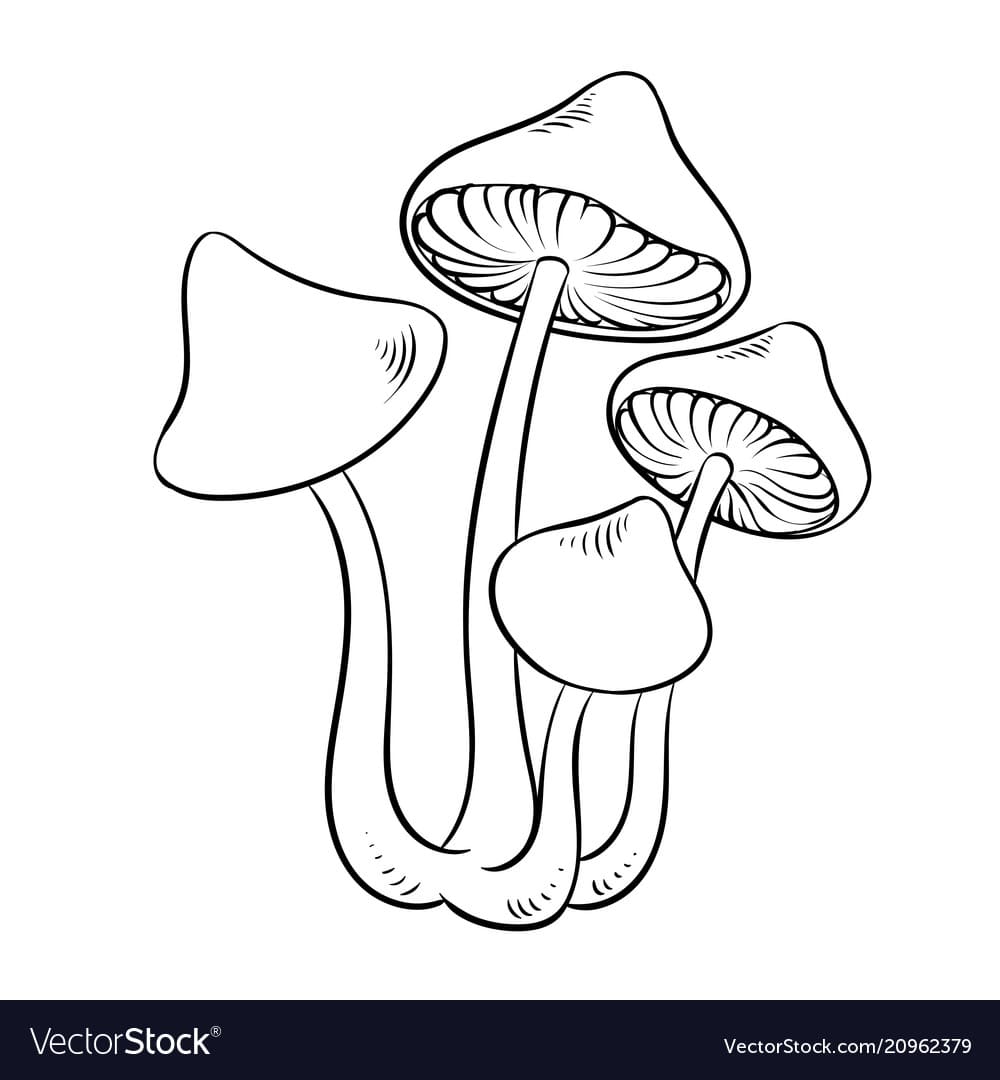 Narcotic Mushroom Coloring Vector Image Coloring Page
