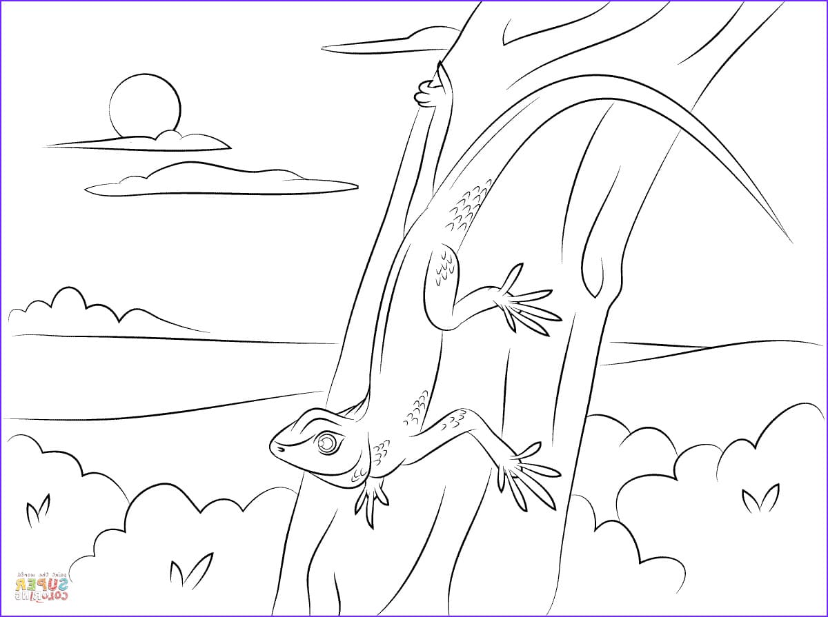 Nature of Gecko Coloring Free Coloring Page