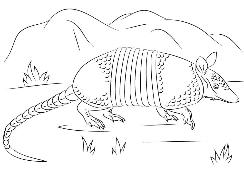 Nine Banded Armadillo Free Coloring Page