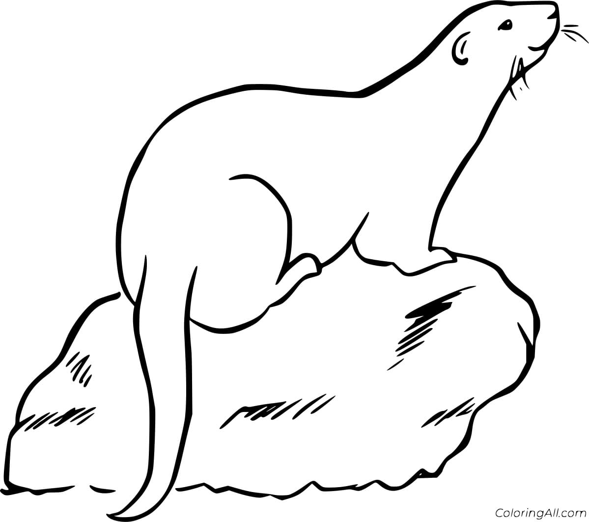 North American River Otter Free Printable Coloring Page