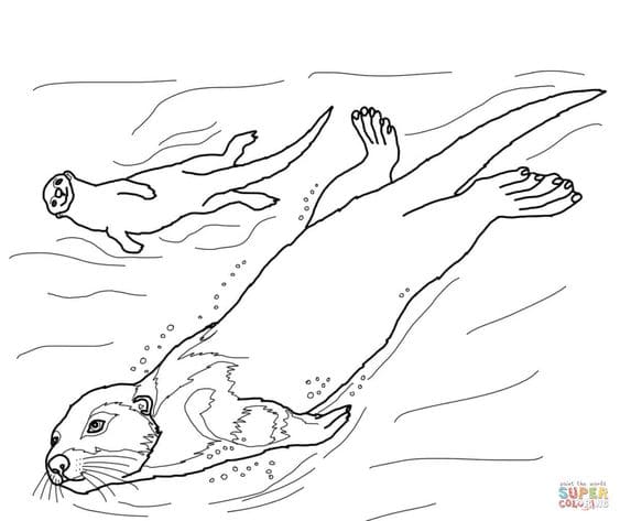 Otter Coloring Free Printable Coloring Page