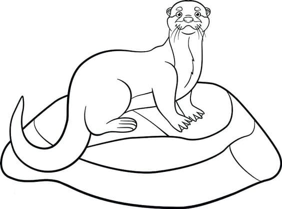Otter Coloring Pages Picture Coloring Page