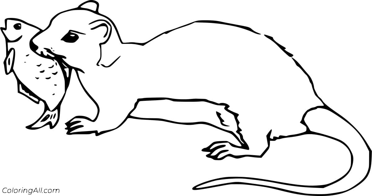 Otter Eating a Fish Free Printable Coloring Page