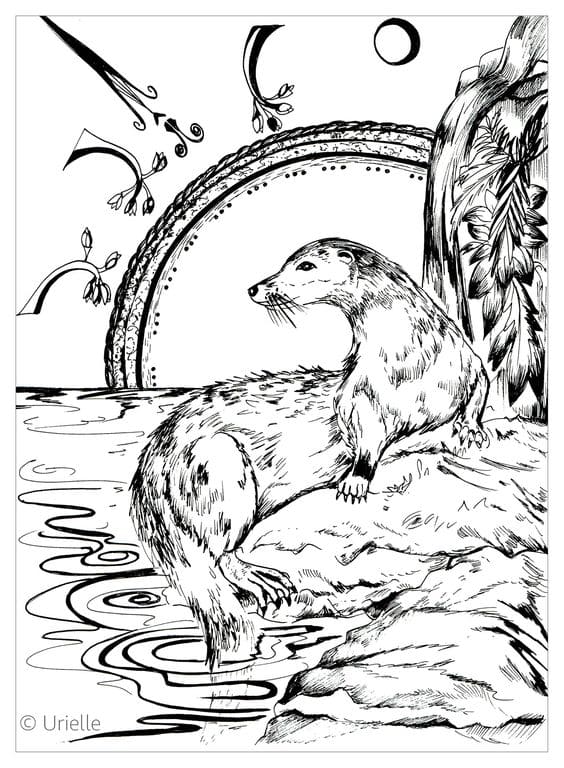 Otter Fishes Coloring Pages for Adults Coloring Page