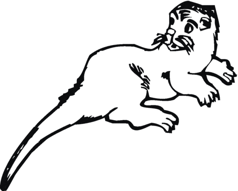 Otter Free Printable Coloring Page
