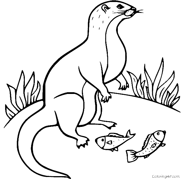 Otter Have Two Fish Free Printable Coloring Page