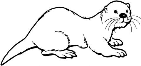 Otter Printable Coloring Page