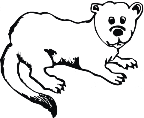 Otter Coloring Free Coloring Page