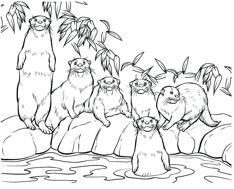 Otter in Zoo Free Printable Coloring Page
