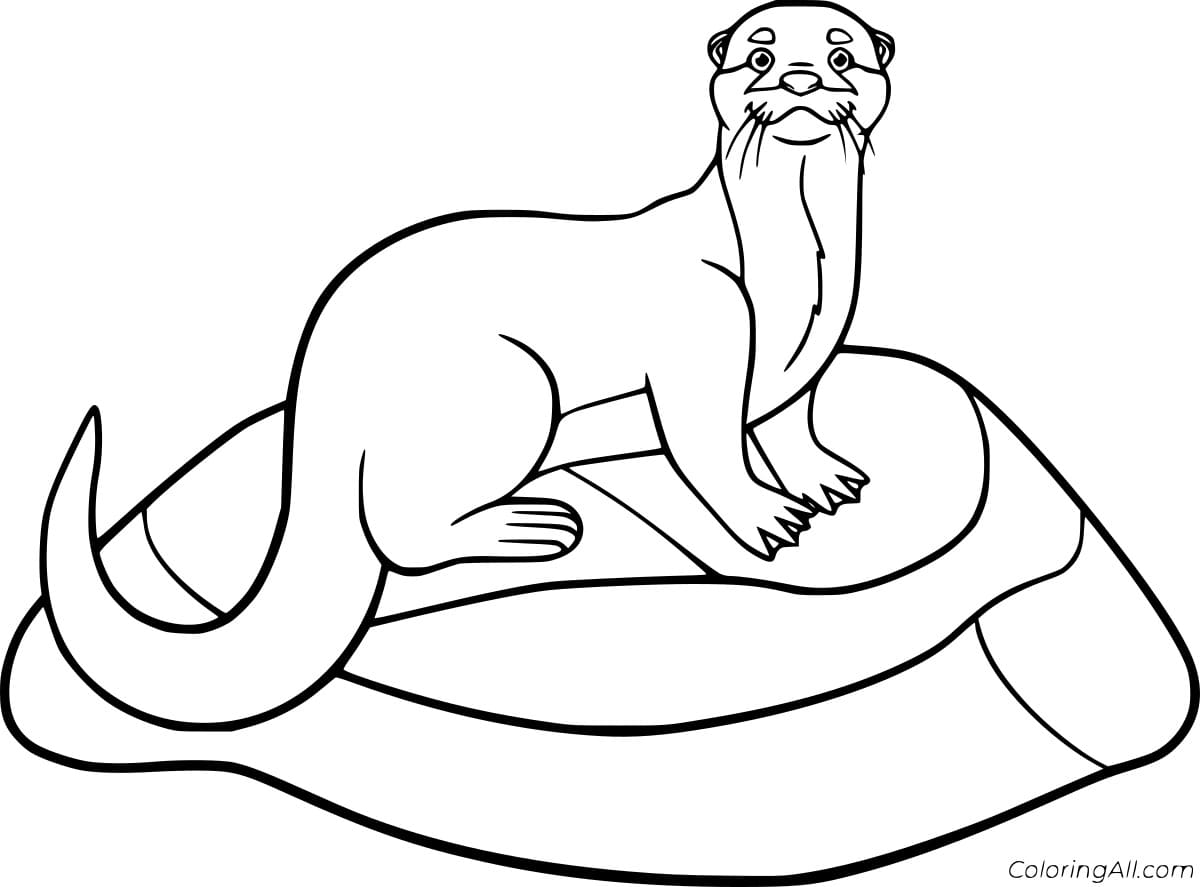 Otter on the Rock Free Printable Coloring Page