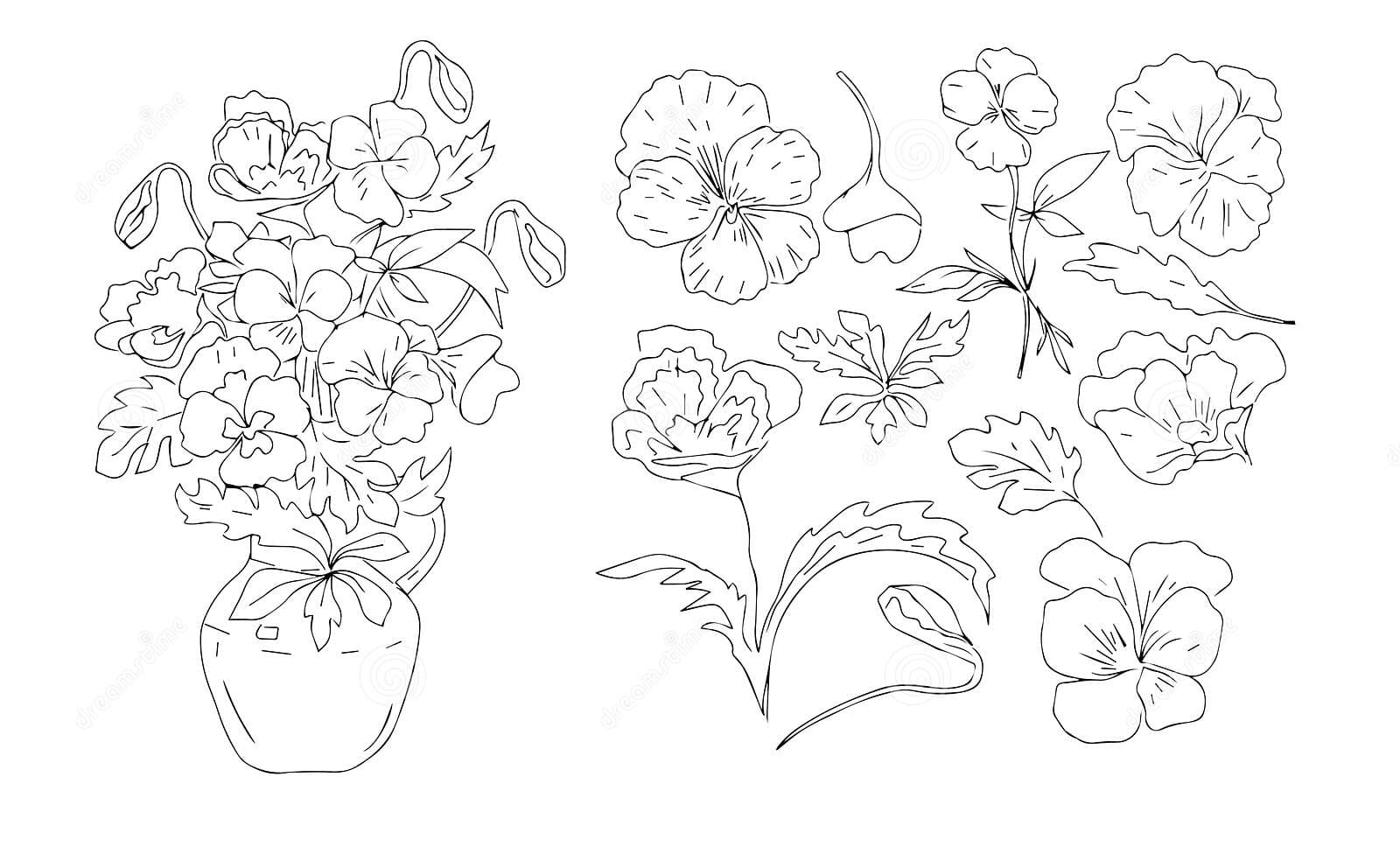 Pansies Flowers Flowering Plants Graphic Illustration Hand Drawn Coloring For Kids Coloring Page