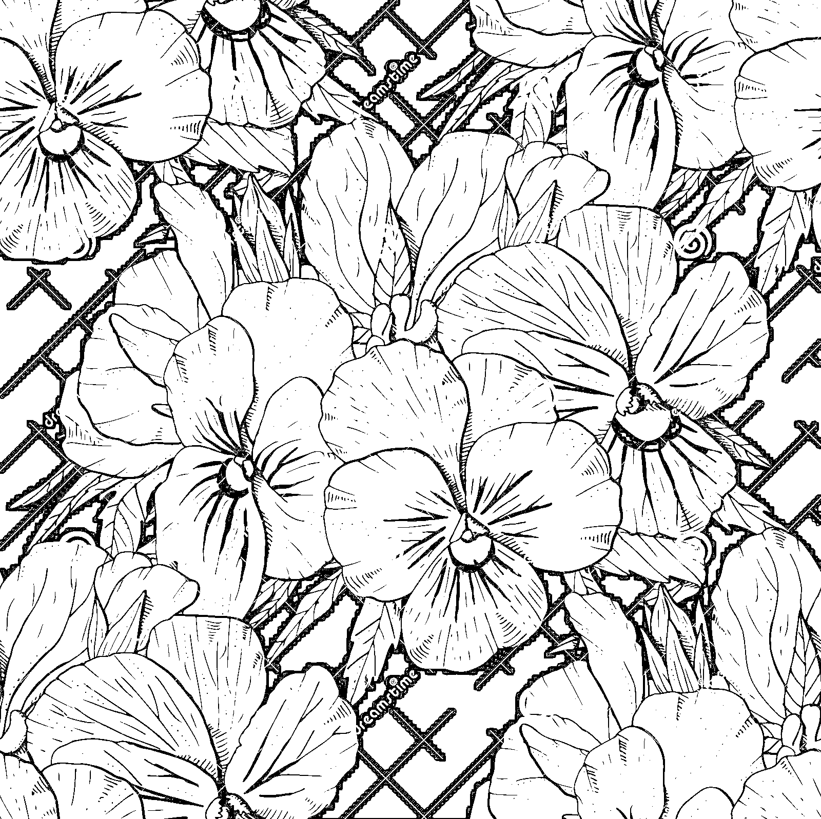 Pansy Cute Free Coloring Page