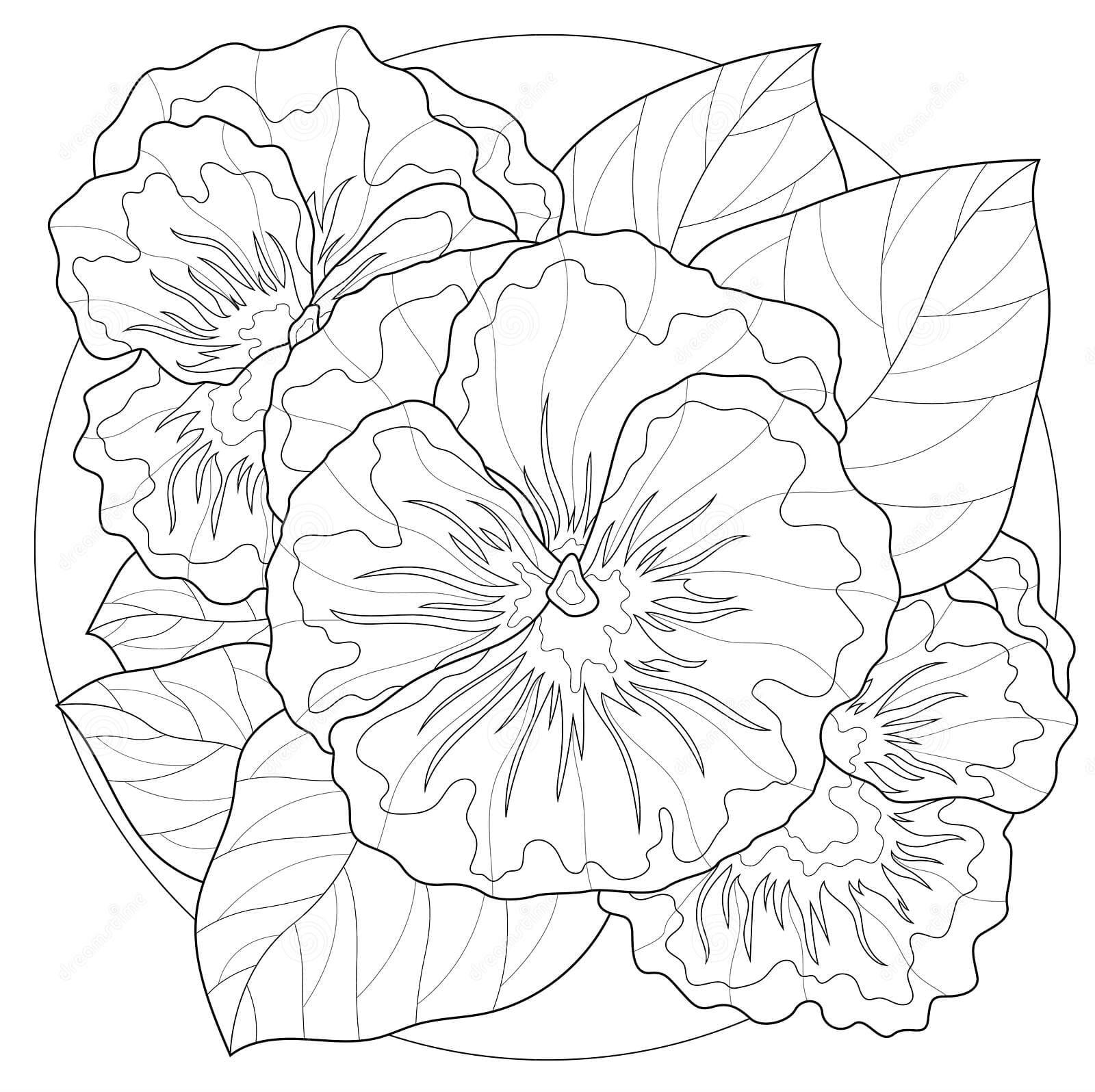 Pansy Cute Printable Image Coloring Page