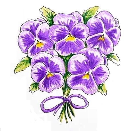 Pansy-Drawing-7