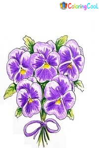 How To Draw A Pansy – 7 Simple Steps To Create A Nice Pansy Drawing