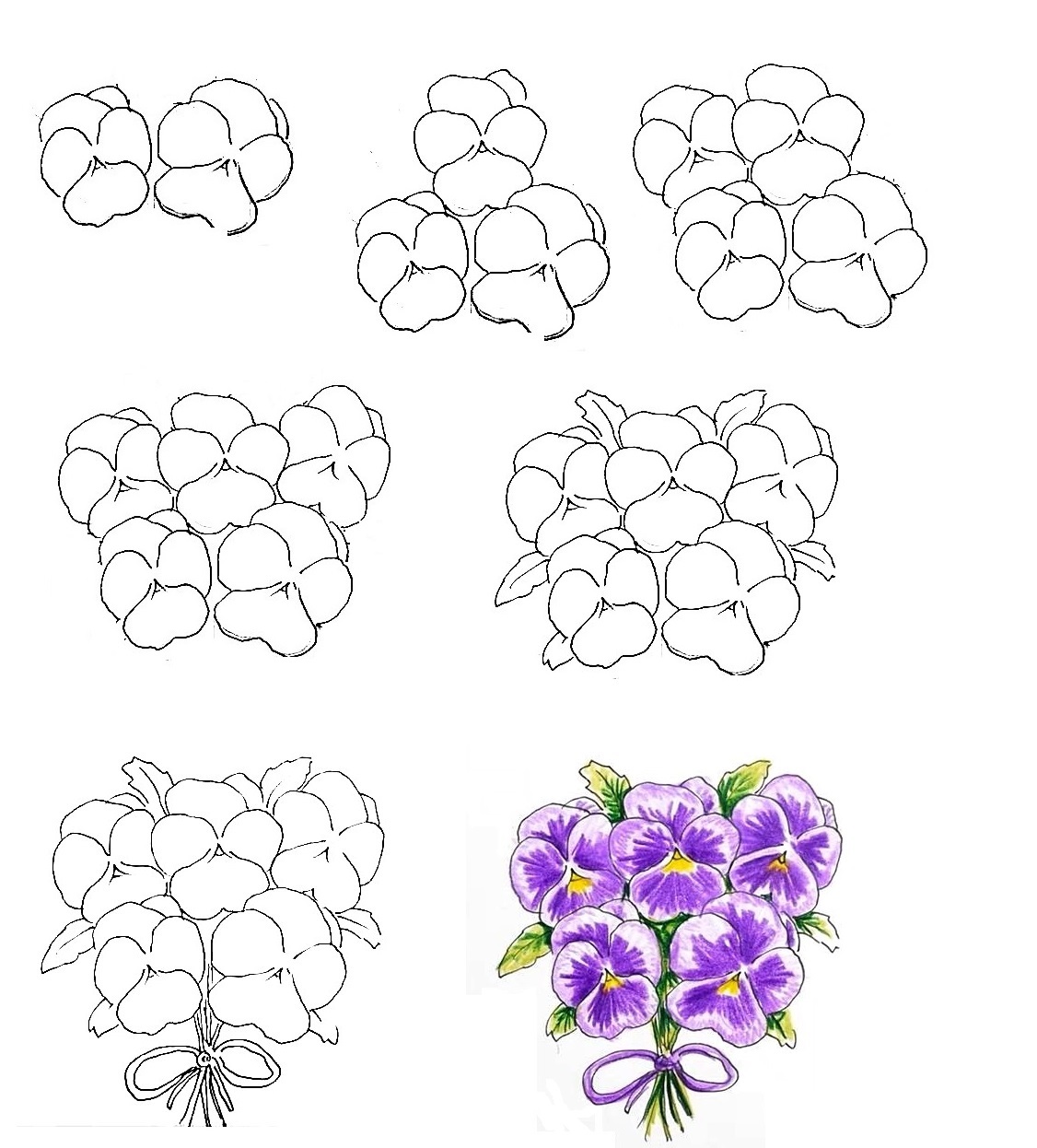 How To Draw A Pansy - 7 Simple Steps To Create A Nice Pansy Drawing