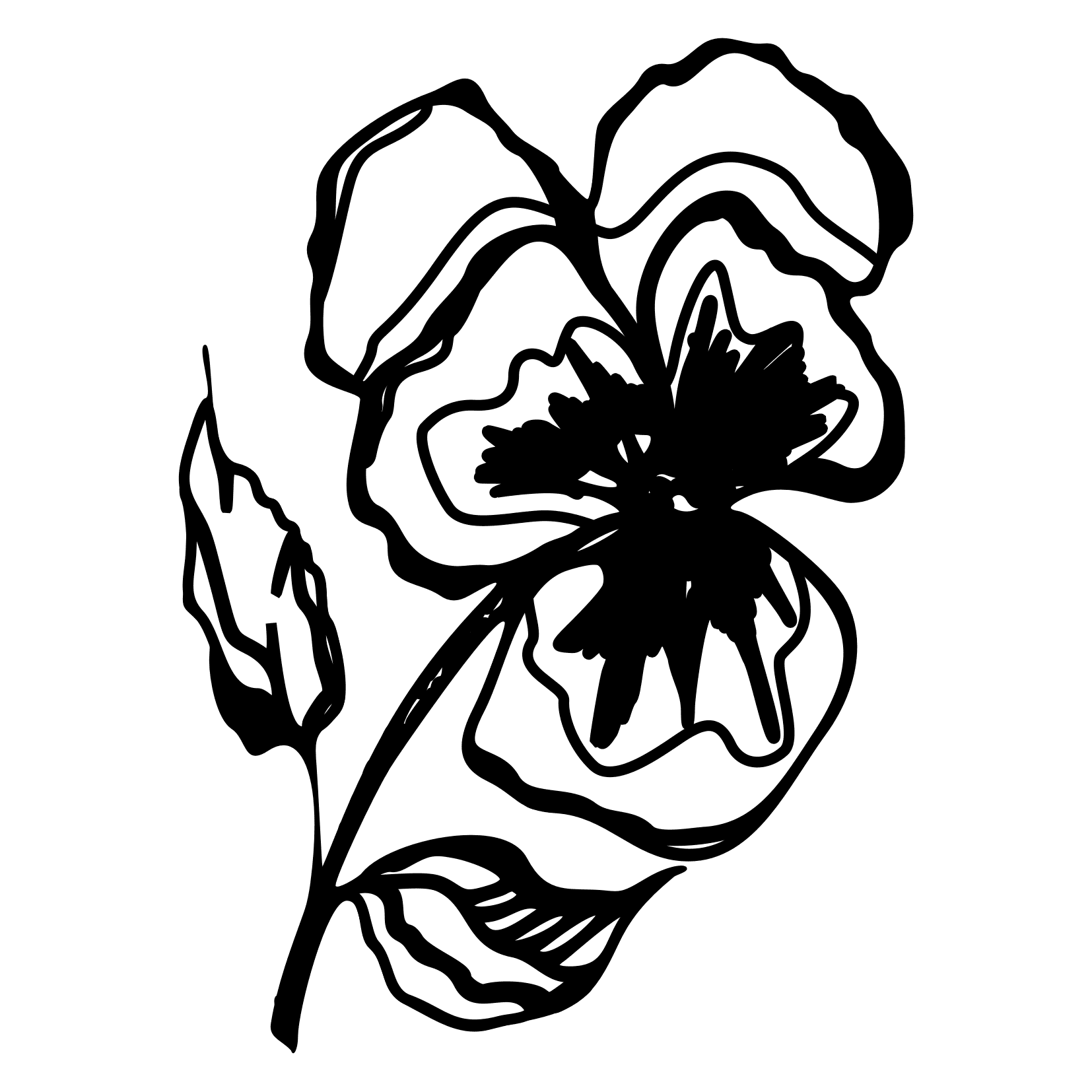 Pansy Flower Sweeet Print Coloring Page