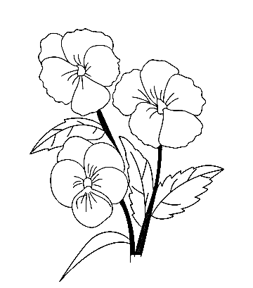 Pansy Free Image Coloring Page