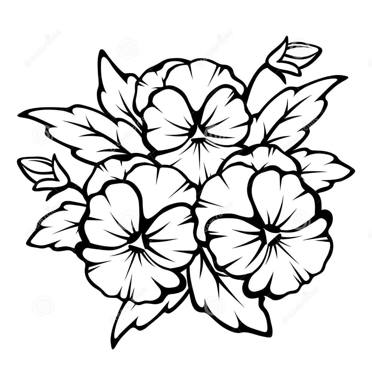 Pansy Free Coloring Page