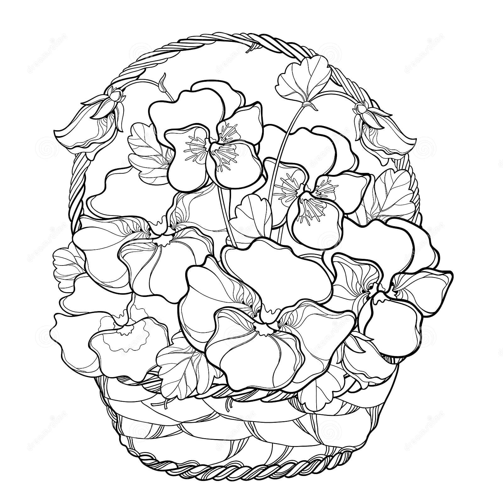 Pansy Image Free Coloring Page