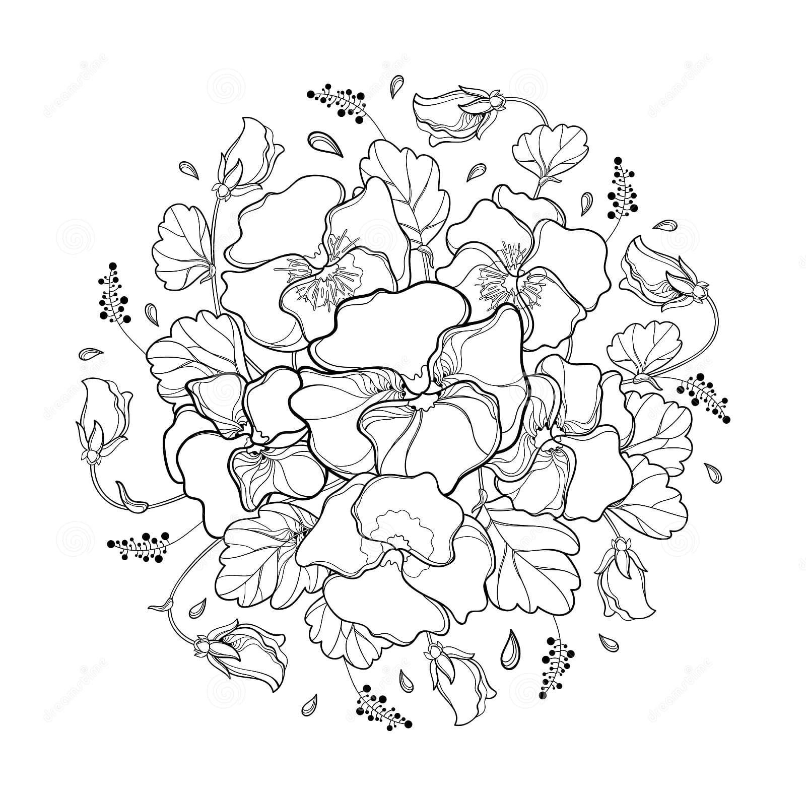 Pansy Printable Free Coloring Page