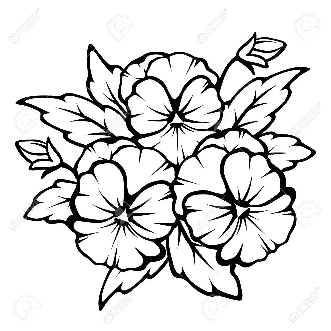Pansy Sweet Picture Free Coloring Page