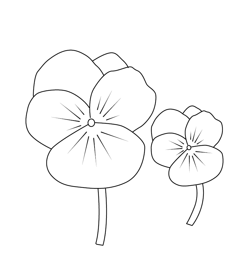 Pansy To Print Coloring Page