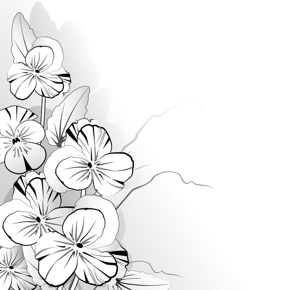 Pansy in Black and White Image Coloring Page