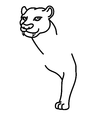 Panther-Drawing-2