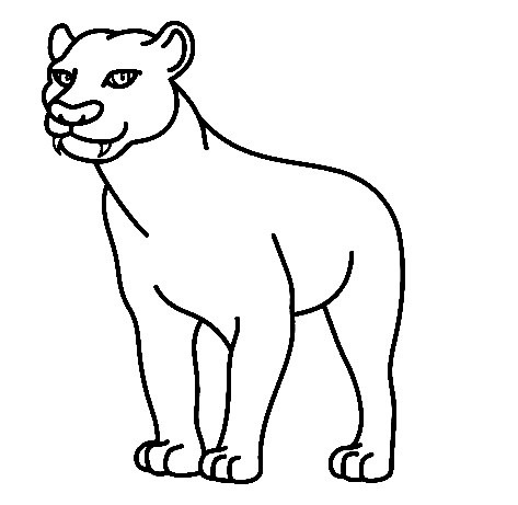 Panther-Drawing-4