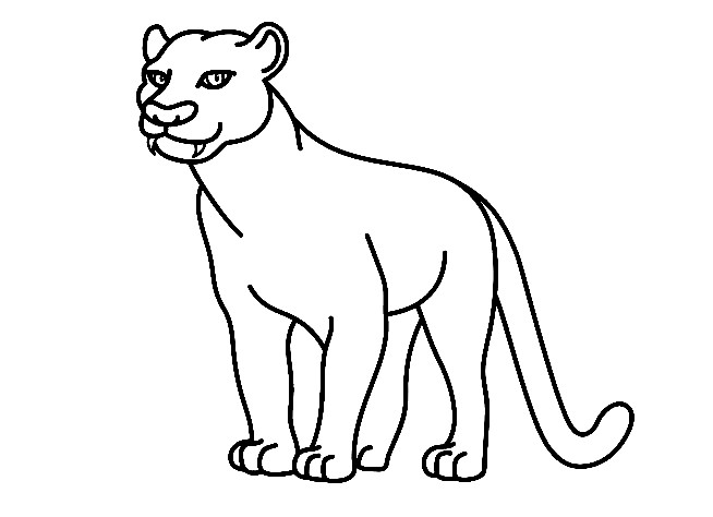 Panther-Drawing-6