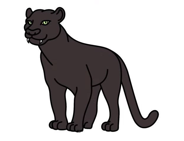 Panther-Drawing-7