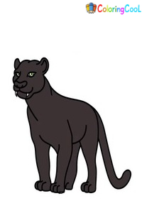 7 Simple Steps To Create A Cute Panther Drawing – How To Draw A Panther Coloring Page