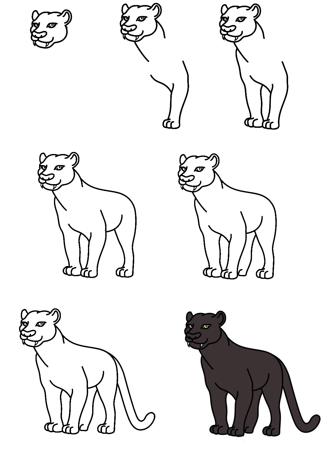 Panther-Drawing