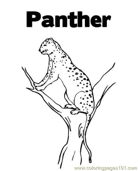 Panther Printable