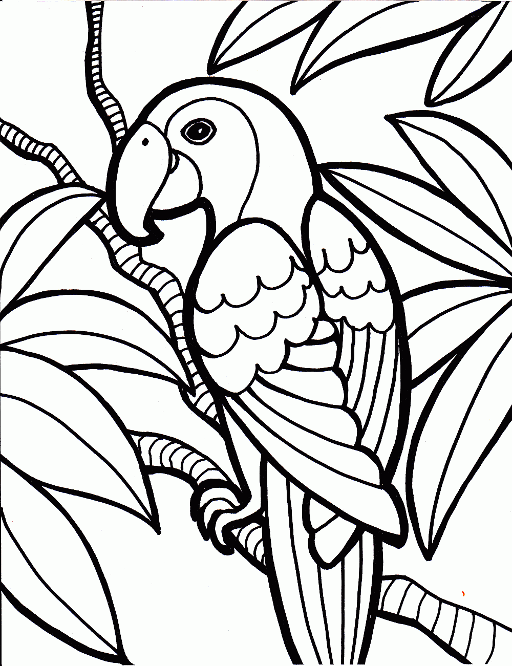 Parrot Bird Printable Coloring Page