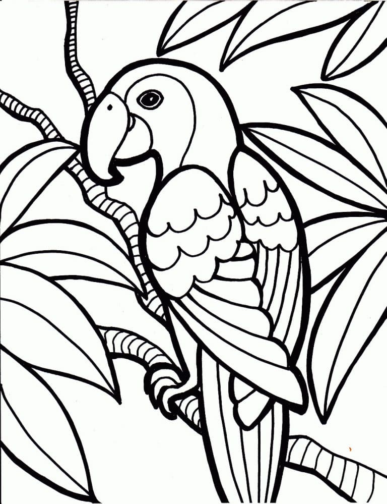 Parrot Birds Coloring Free Printable Coloring Page